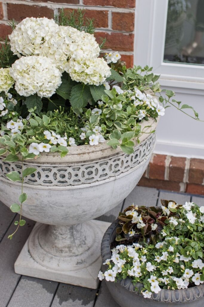 Classic Planter Idea