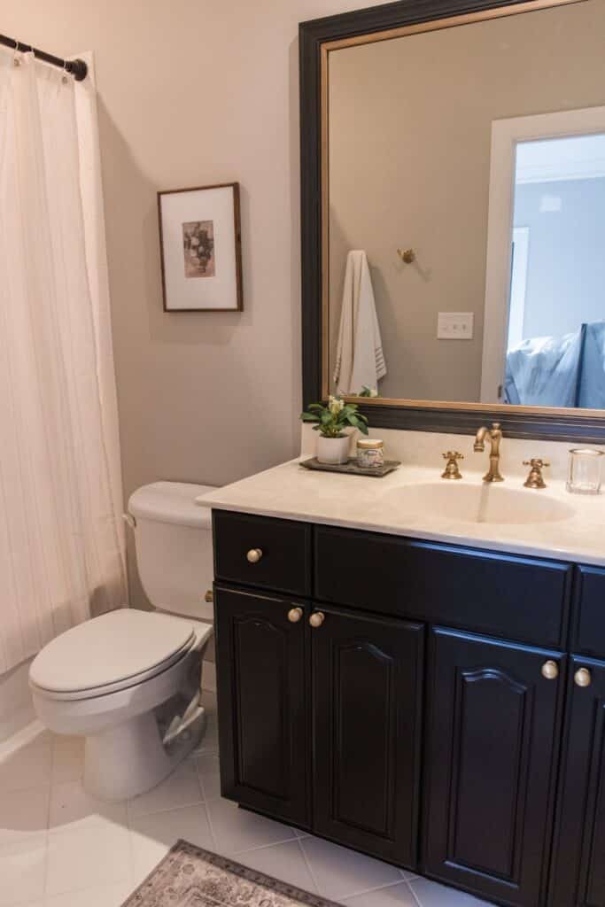 Guest Bathroom Renovation