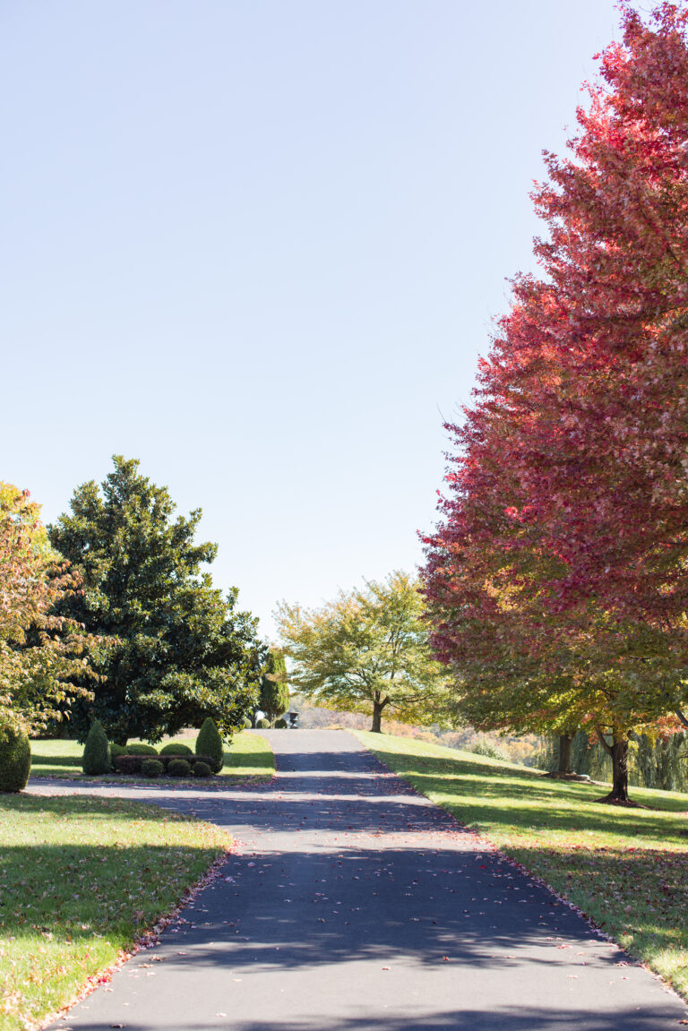 driveway-9333