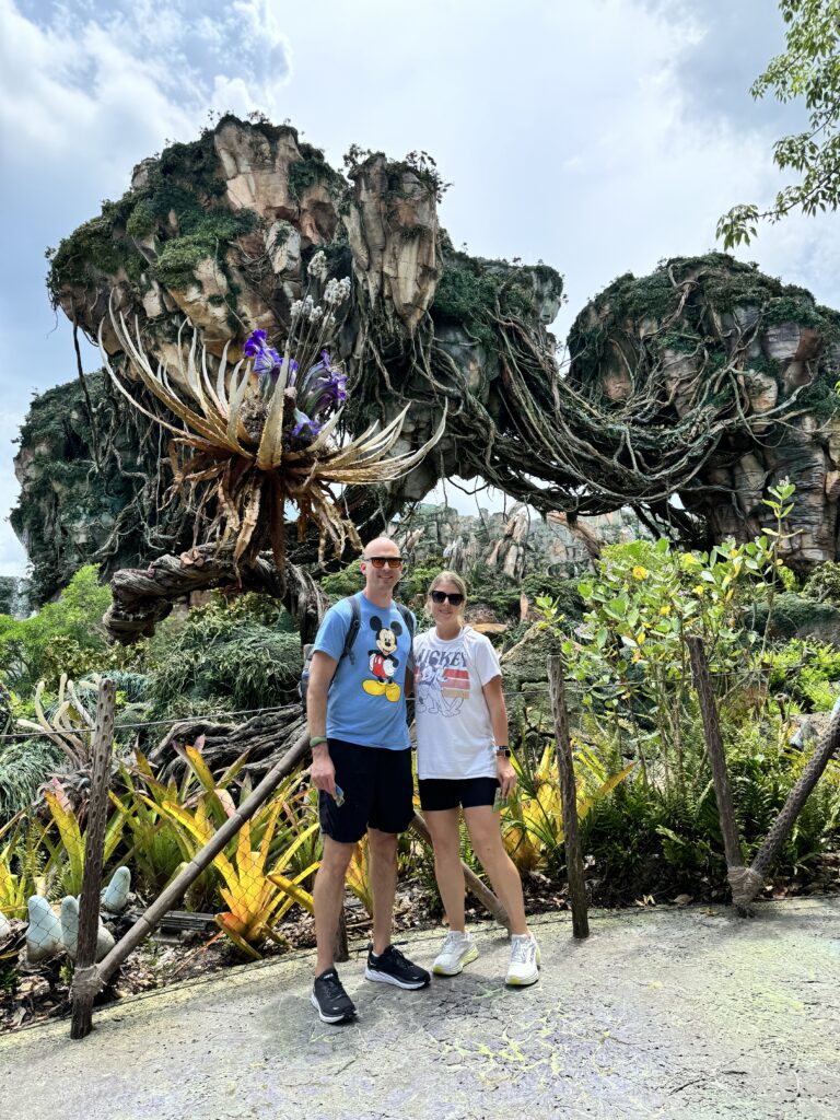 Avatar Flight of Passage was completely immersive
