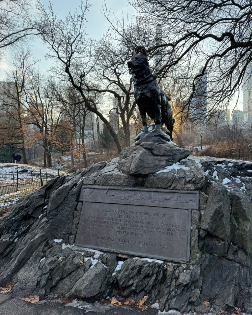 The Balto statue in Central Park