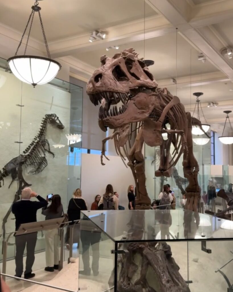 The dinosaur floor (4th) was our kids favorite