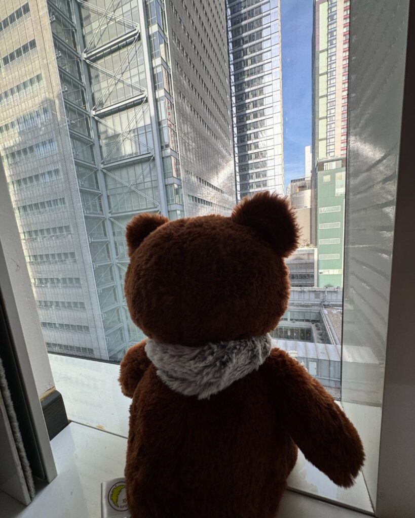 Brown Bear enjoying the view out of our 15th floor hotel room at the AC Hotel Times Square